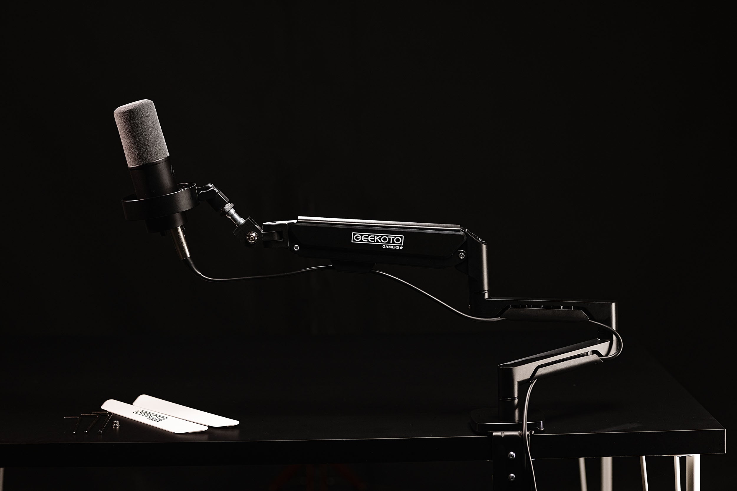 GG-MIC