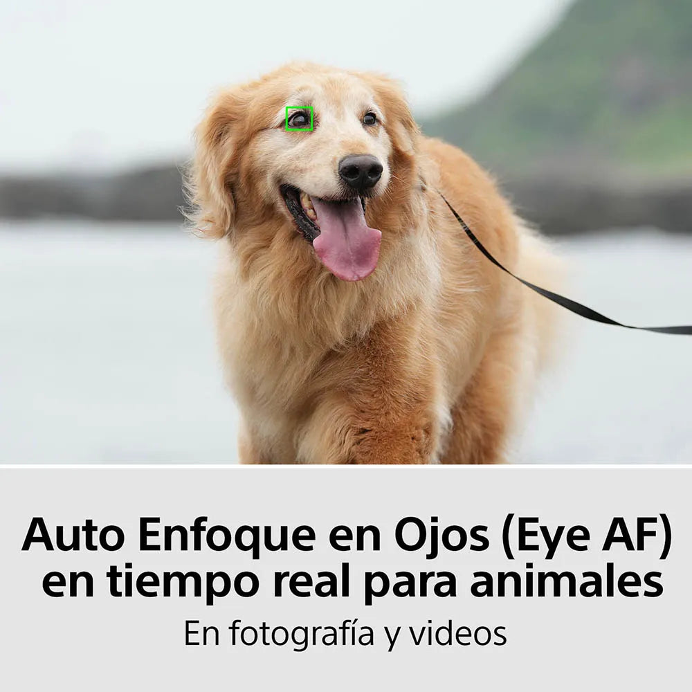 Cámara híbrida full-frame Alpha 7 IV (Solo Body)