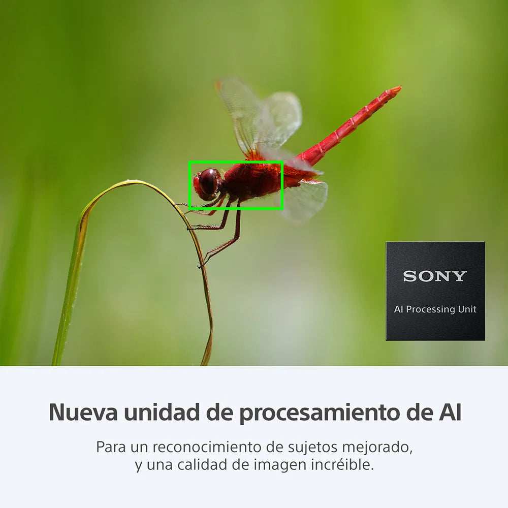 Sony Cámara full-frame a7R V
