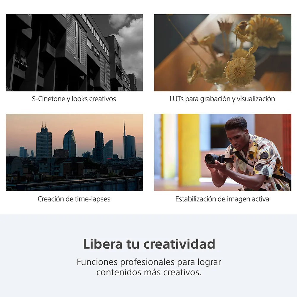 Cámara profesional ILCE-7C II