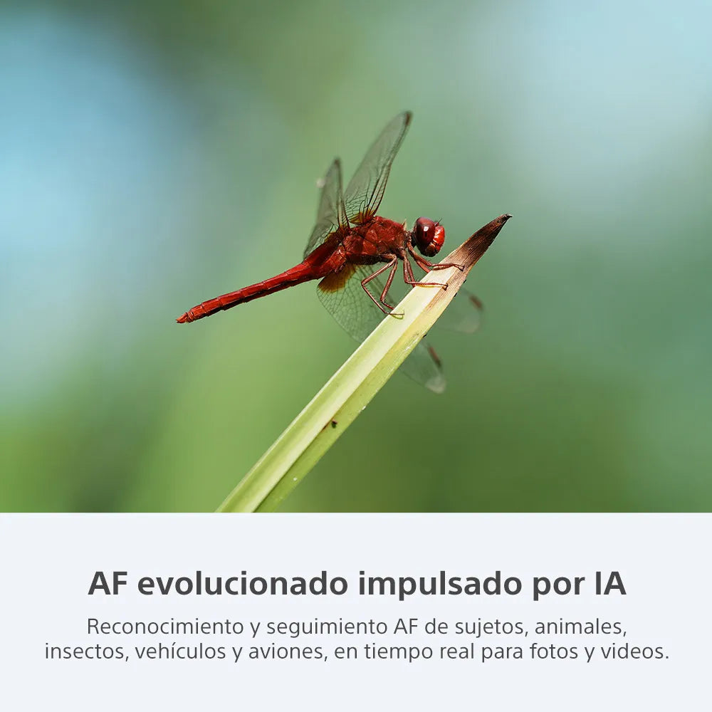 Cámara profesional ILCE-7CR