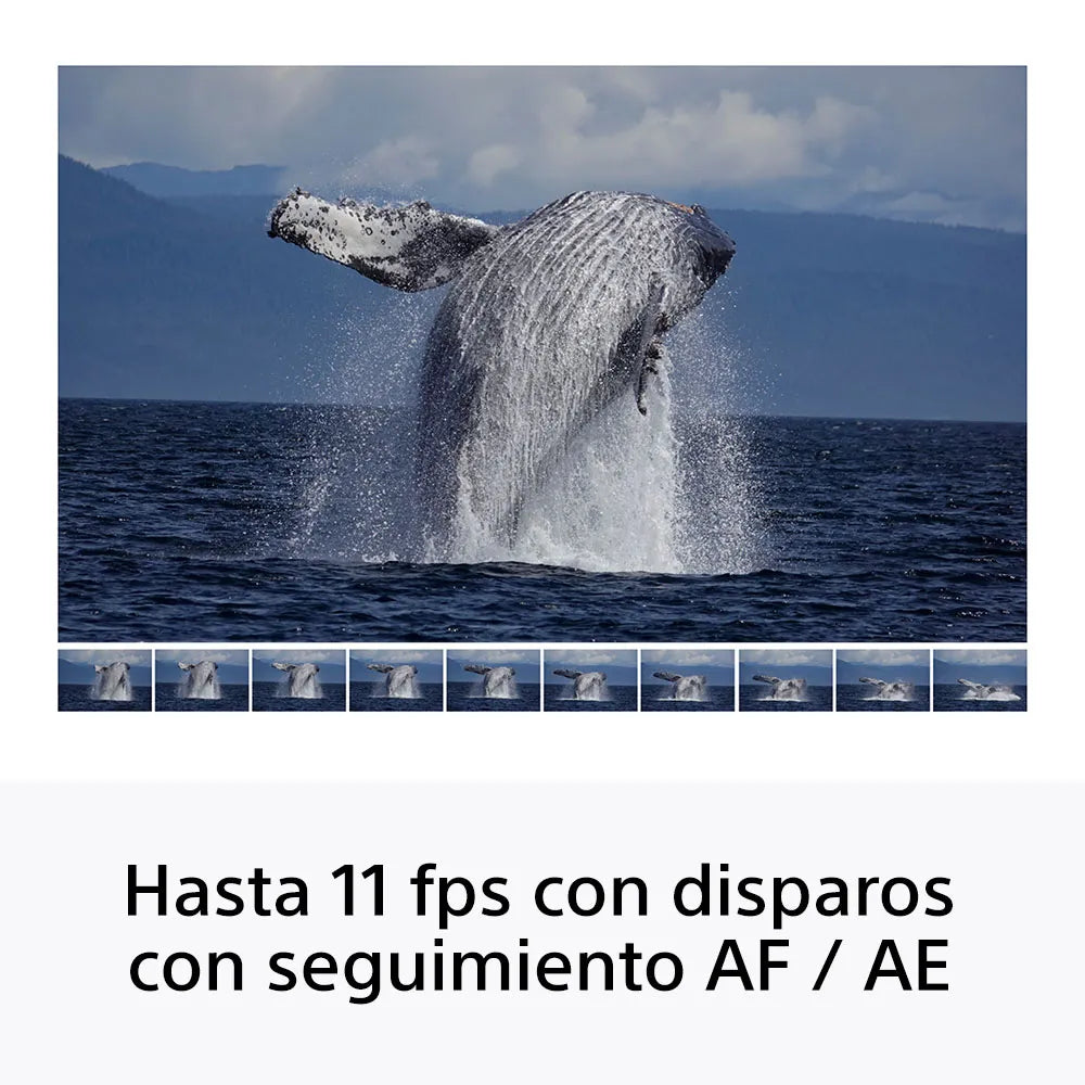 Sony Cámara Digital Mirrorless APS-C ILCE-6100X: A6100 + Lente SELP16502 + Lente SEL55210