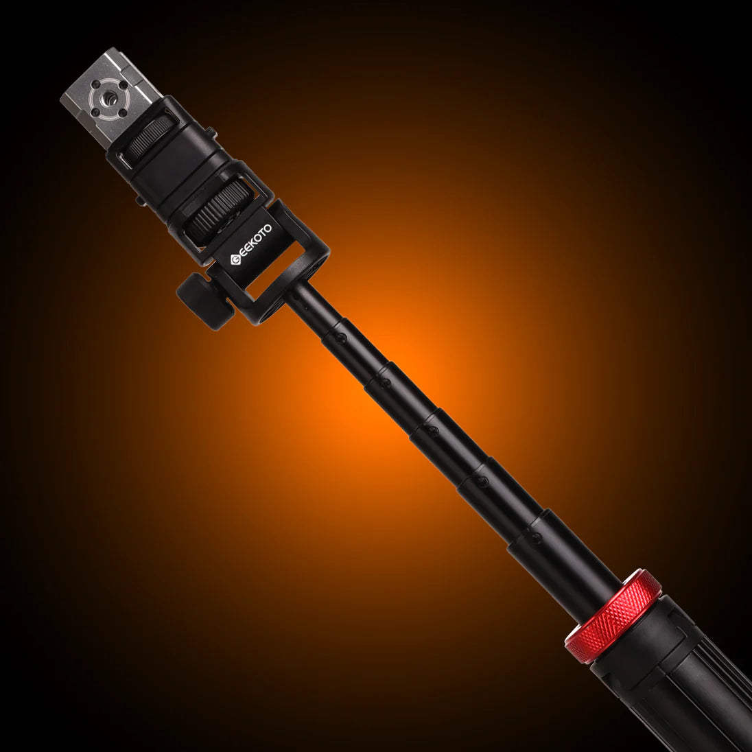 DP43