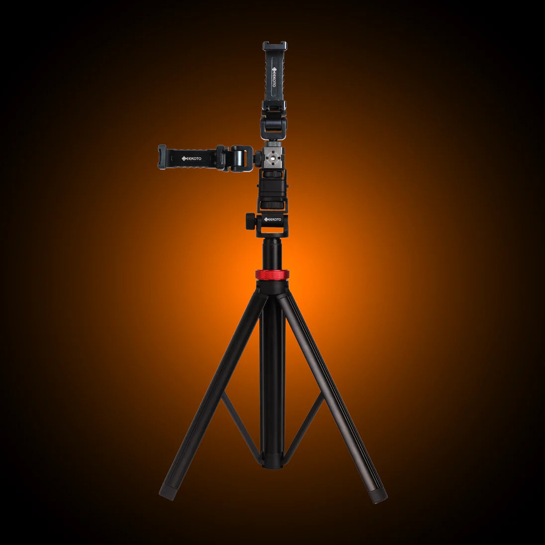 DP43