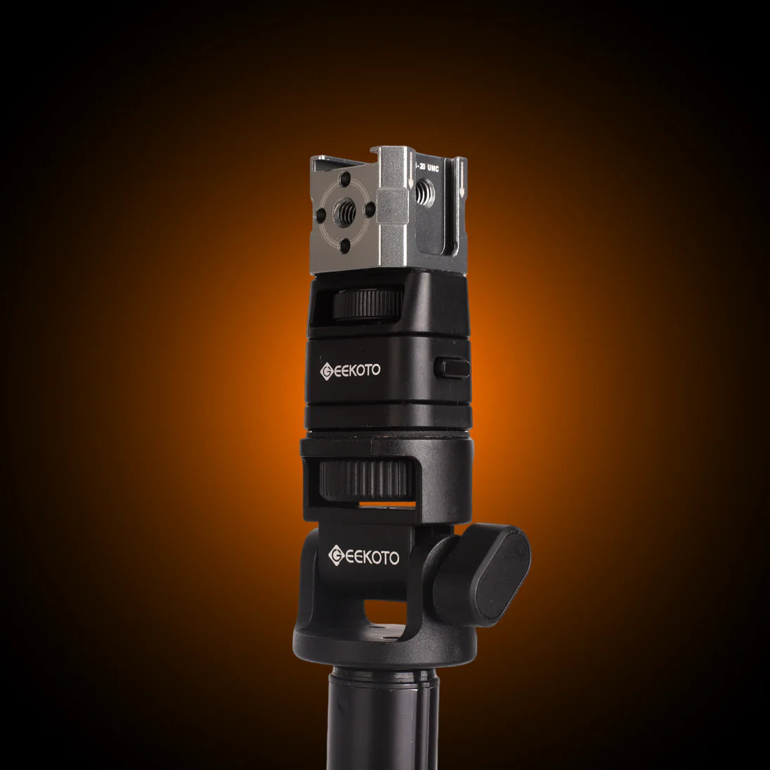 DP43