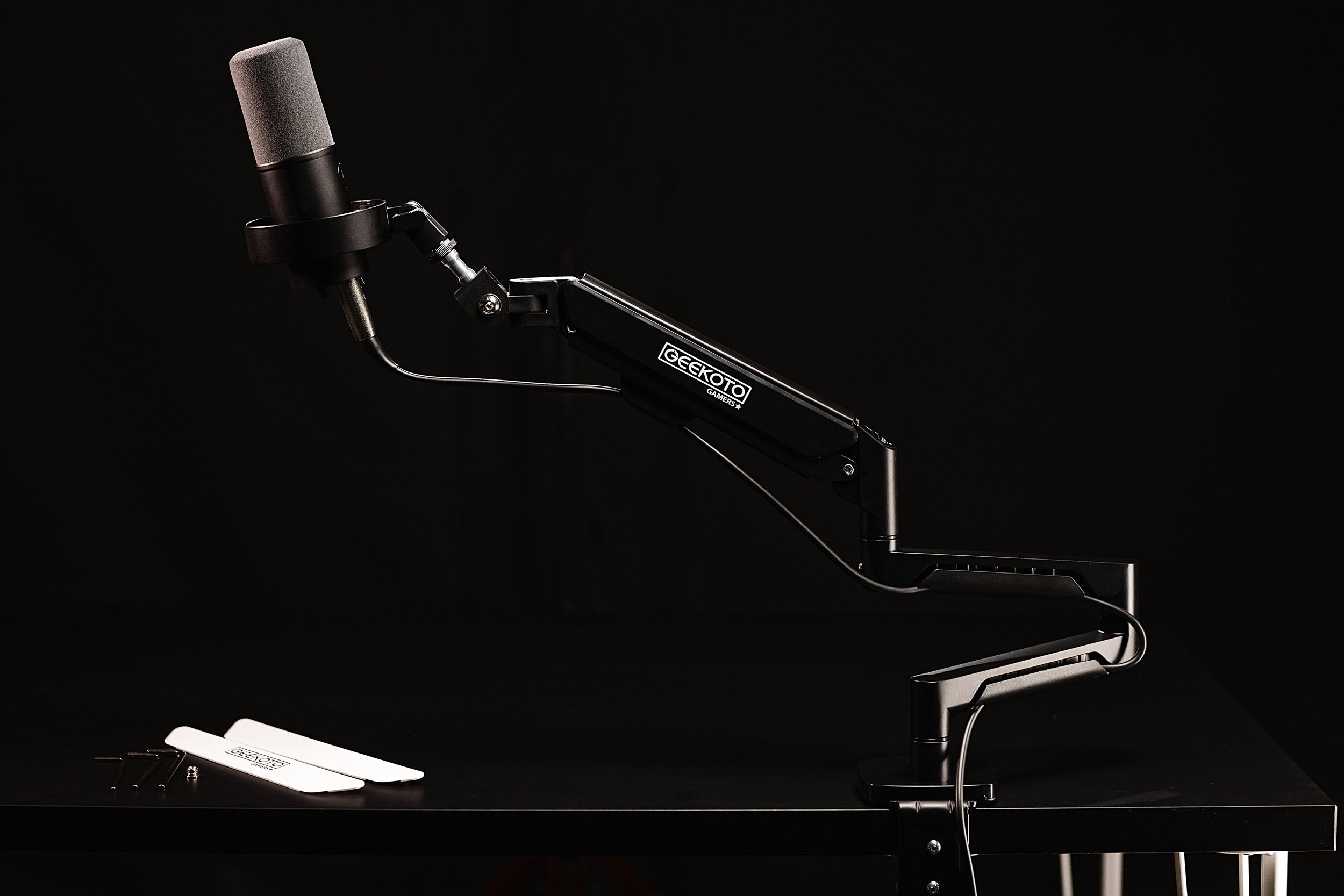 GG-MIC