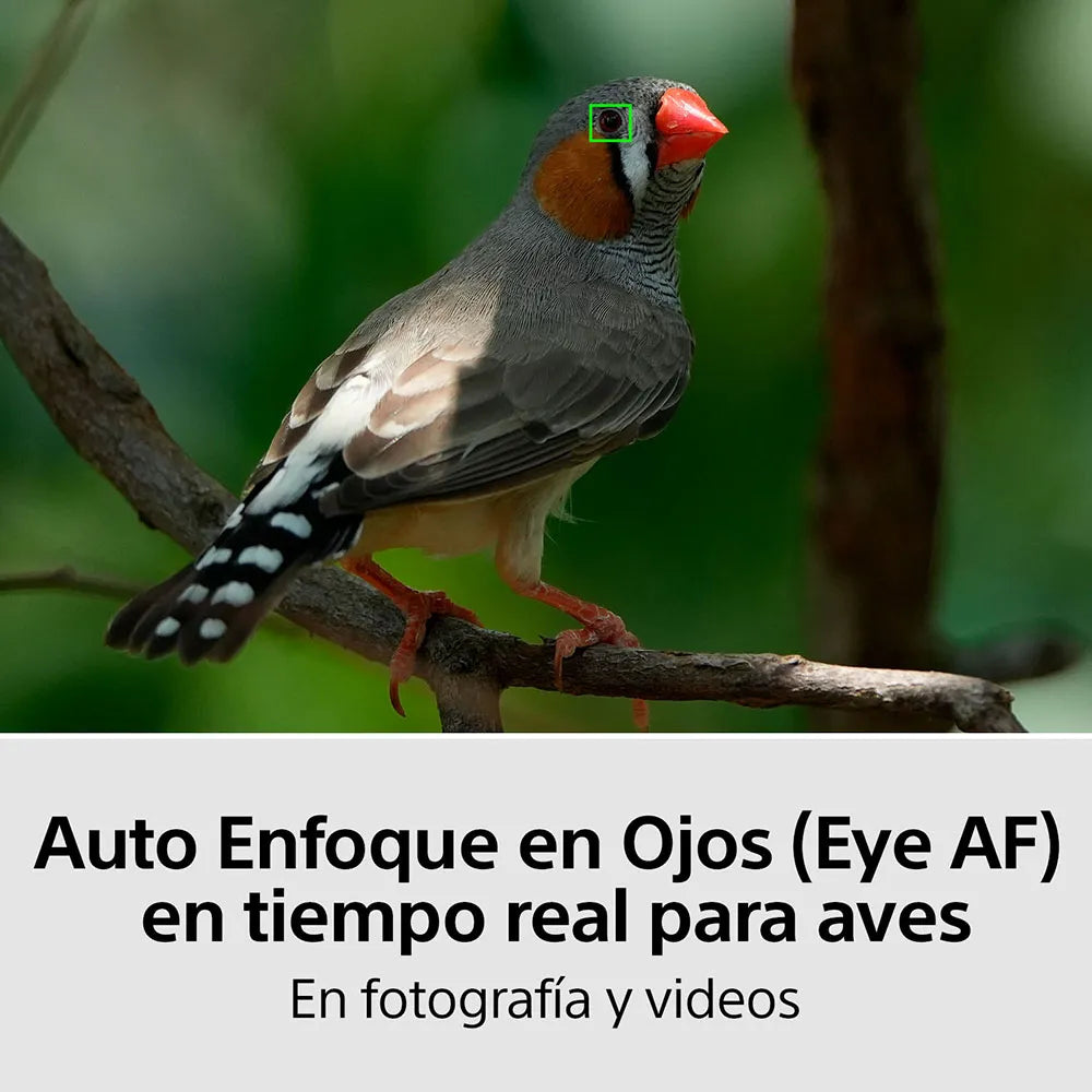 Cámara híbrida full-frame Alpha 7 IV (Solo Body)