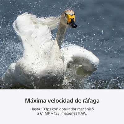 Sony Cámara full-frame a7R V