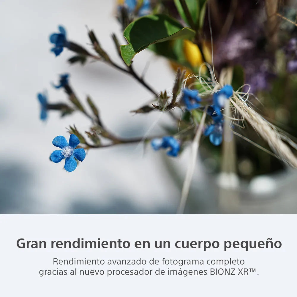 Cámara profesional ILCE-7CR