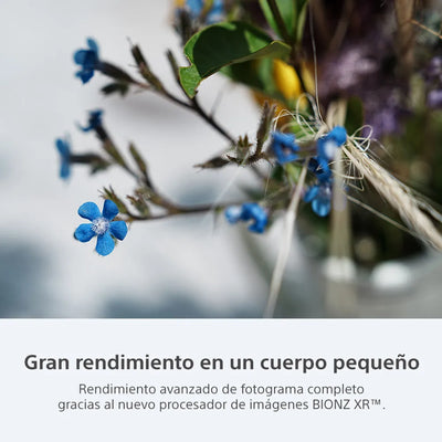 Cámara profesional ILCE-7CR