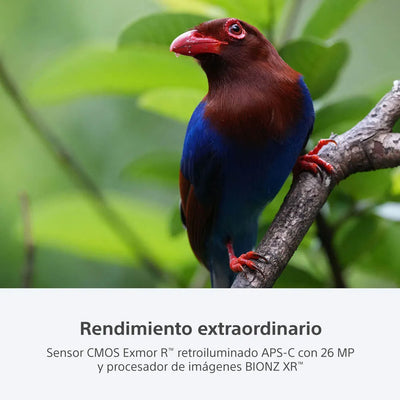 Sony a6700 premium con montura E