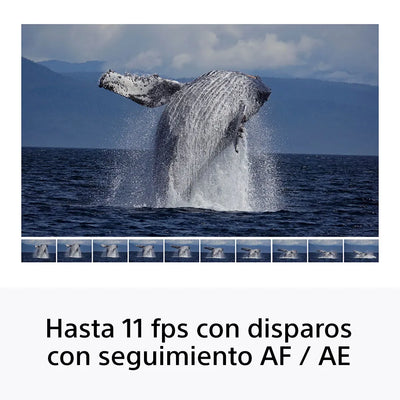 Sony Cámara Digital Mirrorless APS-C ILCE-6100X: A6100 + Lente SELP16502 + Lente SEL55210