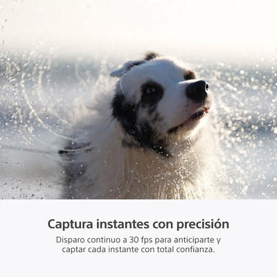 Sony Cámara híbrida full-frame a7 V (Solo body)