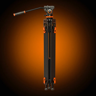 DV3