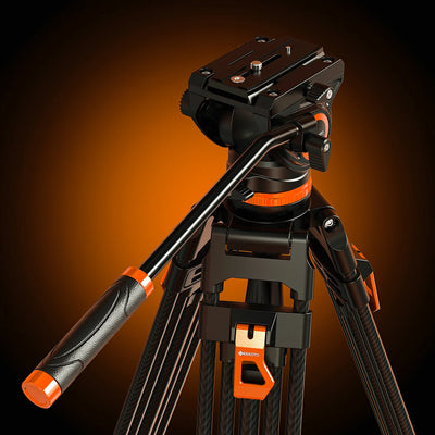 DV3
