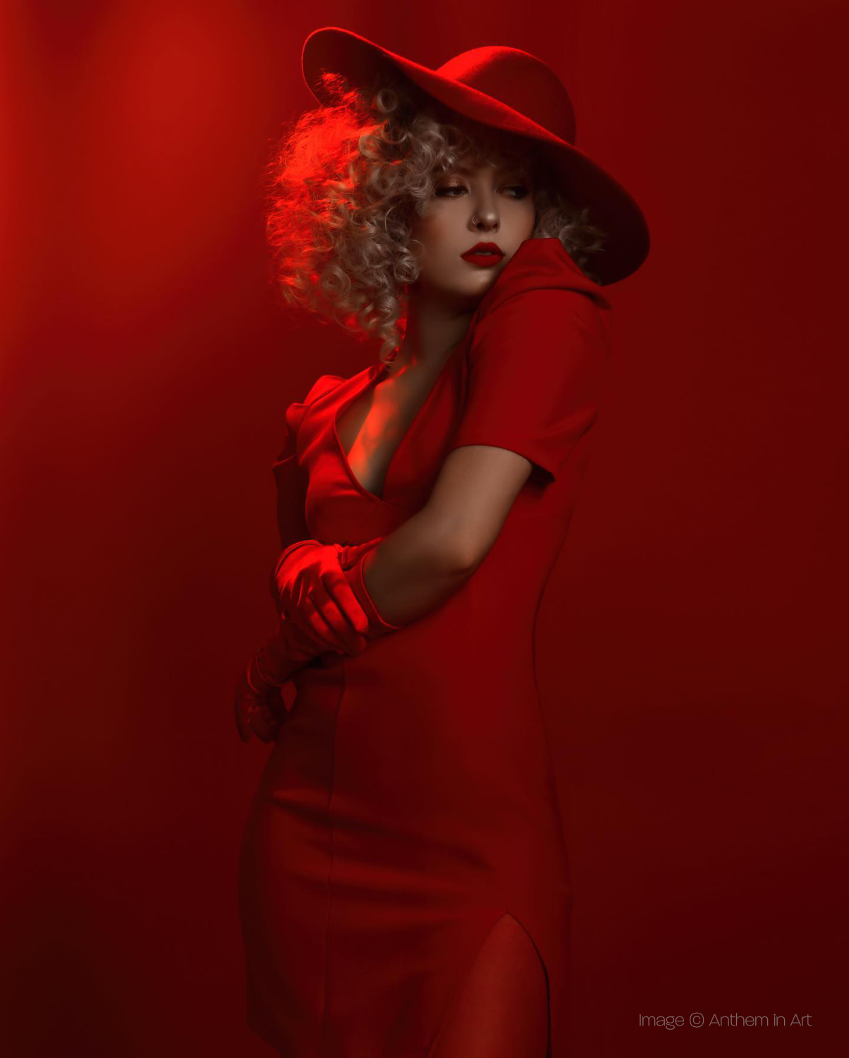 Rogue Ultimate Portrait Kit